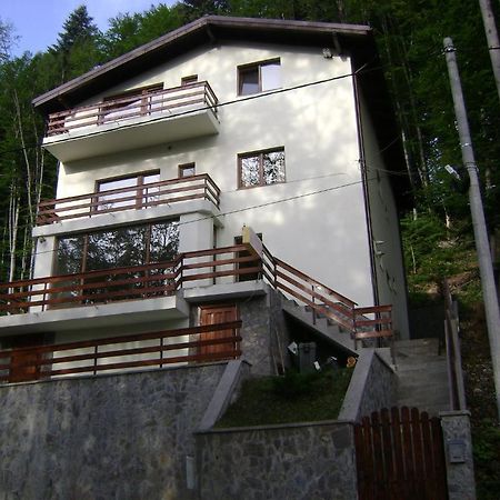 Casa Anotimpuri Hotel ซินายา ภายนอก รูปภาพ