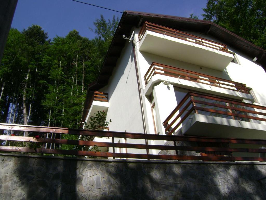 Casa Anotimpuri Hotel ซินายา ภายนอก รูปภาพ
